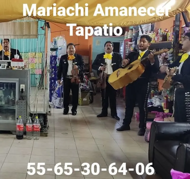 Contratación de Mariachis Económicos en CDMX