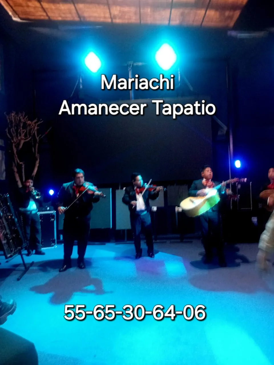 Contratación de Mariachis Económicos en CDMX